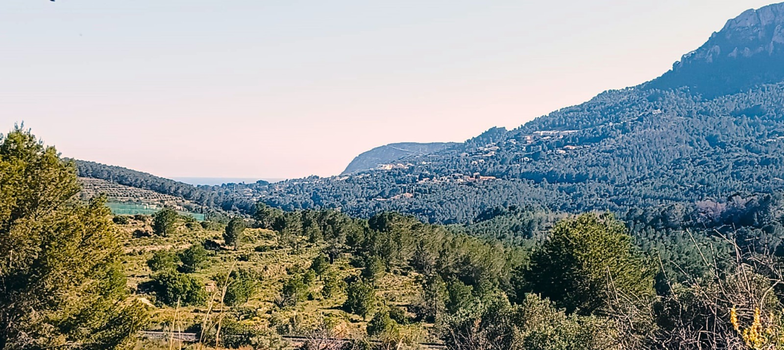 PARCELA EN BENISSA