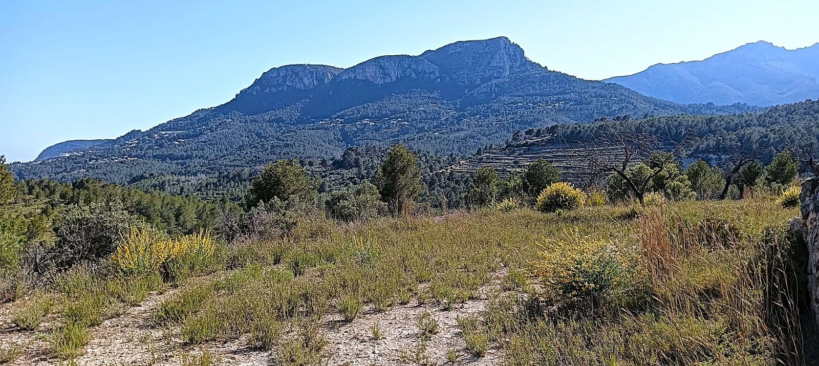 PARCELA EN BENISSA