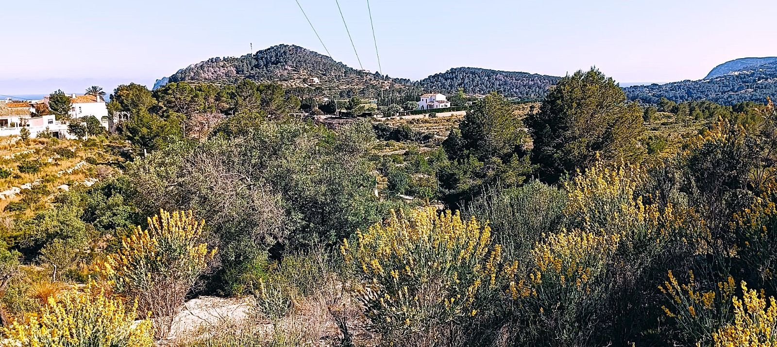 PARCELA EN BENISSA